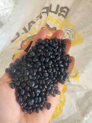 hạt đậu đen xanh lòng nhà làm sạch. Mua bán Đồ ăn, thực phẩm và các loại khác tại Quận Ngũ Hành Sơn Đà Nẵng được đăng bởi Dương thị thu vân