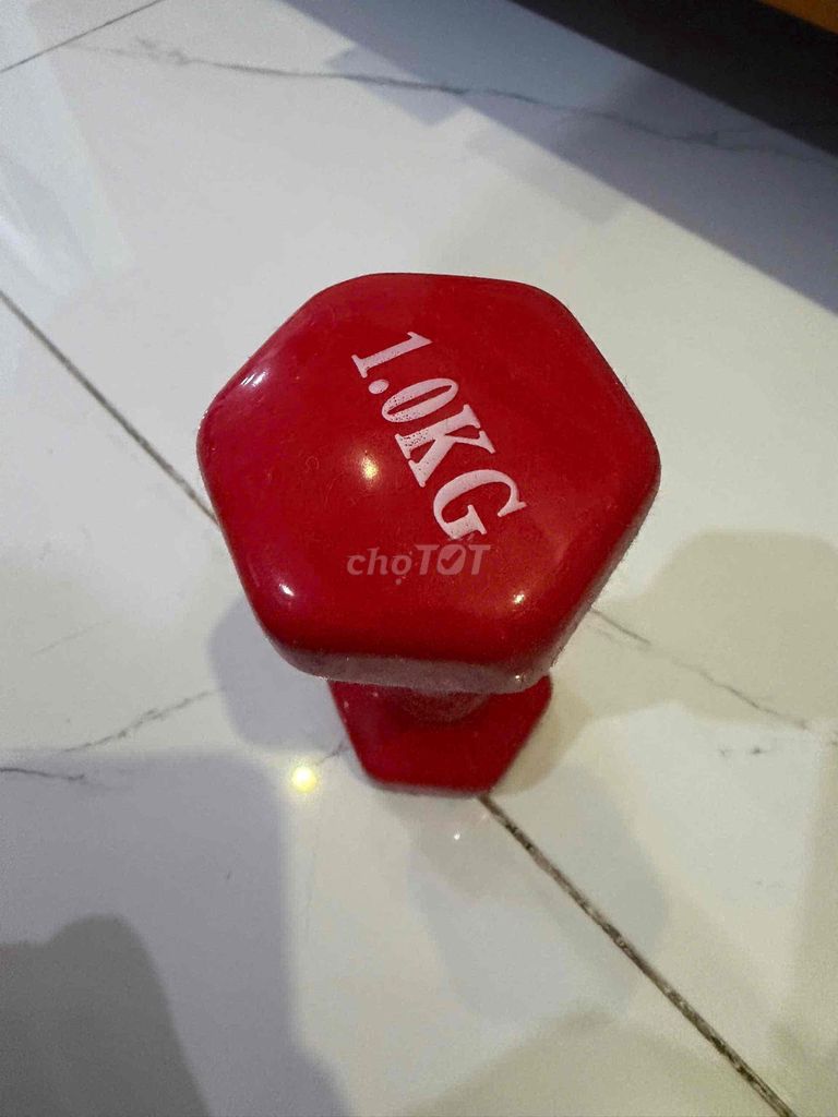 Tạ tay 1.0KG Đỏ Nhựa. Mua bán Đồ thể thao, Dã ngoại tại Quận 11 Tp Hồ Chí Minh được đăng bởi Võ Ngọc Tín hình 1