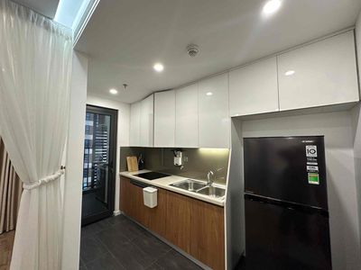 Chính chủ cho thuê căn hộ cao cấp 1N, 2N2NVS. 15-18tr