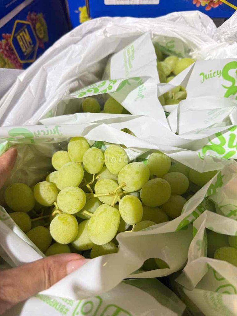 Nho Sweet Globe Xanh Úc 9kg. Mua bán Đồ ăn, thực phẩm và các loại khác tại Quận Tân Phú Tp Hồ Chí Minh được đăng bởi Bảo Long Food Kho Sỉ Trái Cây Ngoại Nhập hình 1