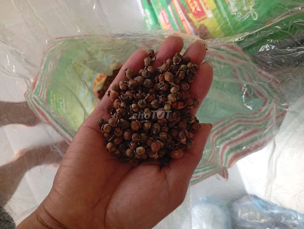 chè nụ chè hạt để uống. Mua bán Đồ chuyên dụng, Giống nuôi trồng tại Huyện Tiên Lữ Hưng Yên được đăng bởi Anh Đức hình 1