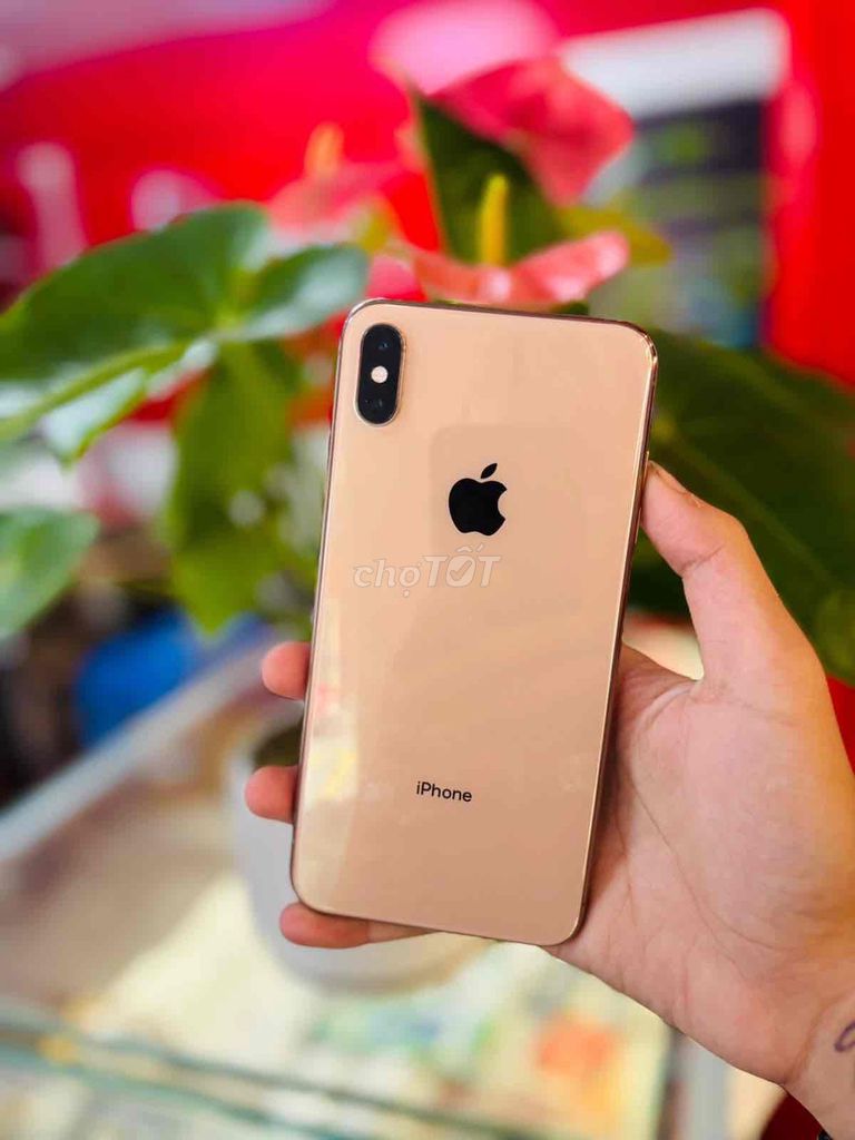 iPhone Xs Max 64GB Quốc Tế. Mua bán Điện thoại tại Thành phố Biên Hòa Đồng Nai được đăng bởi Thang Tran hình 1