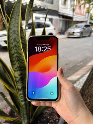 iPhone 12 Pro Max Xanh 128GB Thay Màn, lưng.. Mua bán Điện thoại tại Quận Sơn Trà Đà Nẵng được đăng bởi  Hải