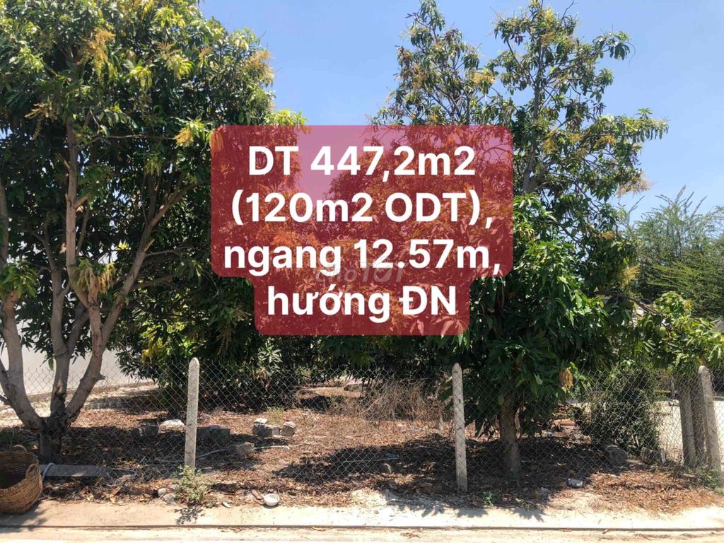 Đất ODT Khu bàn cờ Cam Đức: DT 447m2 (12.57x35) chuẩn QH 2045