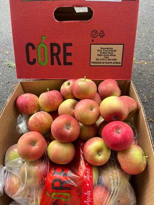 Táo túi Core. Mua bán Đồ ăn, thực phẩm và các loại khác tại Thành phố Thủ Đức Tp Hồ Chí Minh được đăng bởi Thanh Phượng