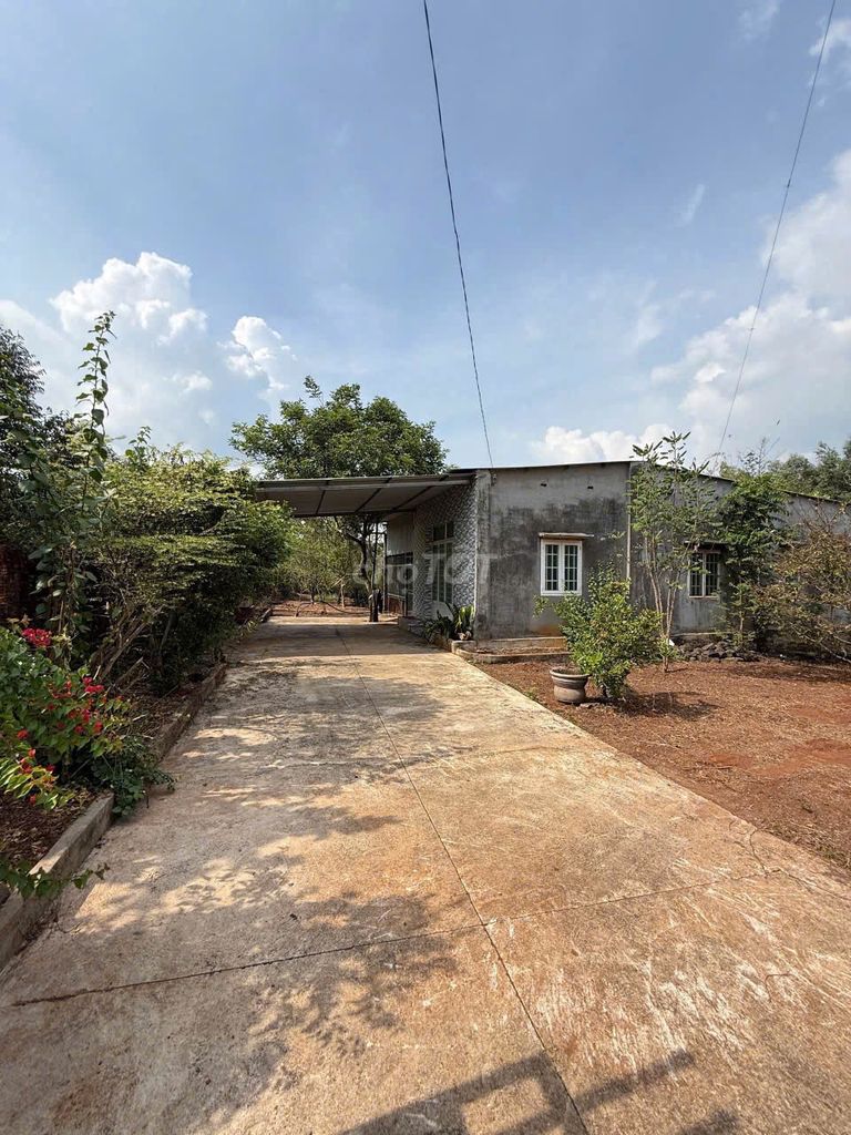 Bán đất 3792m2  ĐT 770B, xã Dầu Giây, kế bên là KCN Xuân Quế Sông Nhạn. Mua bán đất tại Huyện Thống Nhất Đồng Nai được đăng bởi Sơn Đồng Nai hình 2