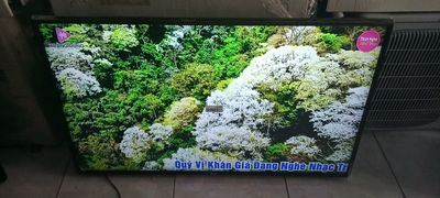 Smart Tivi Samsung UA43TU8100K 43 Inch Zill Đẹp