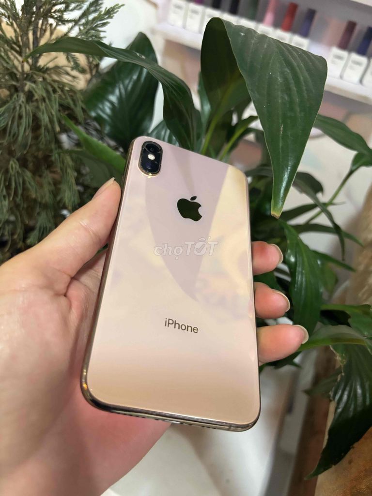 iPhone XS Vàng zin all 64G quốc tế. Mua bán Điện thoại tại Quận Ninh Kiều Cần Thơ được đăng bởi everest hình 1