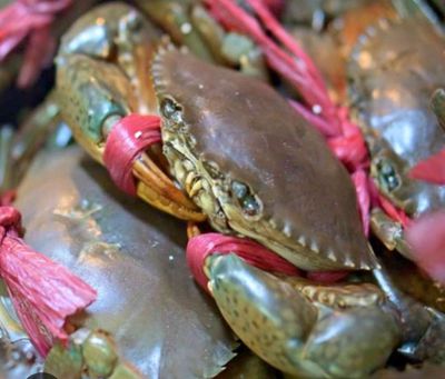 Cua biển tươi sống màu nâu xanh. Mua bán Đồ ăn, thực phẩm và các loại khác tại Thành phố Thủ Đức Tp Hồ Chí Minh được đăng bởi Minh Đạt