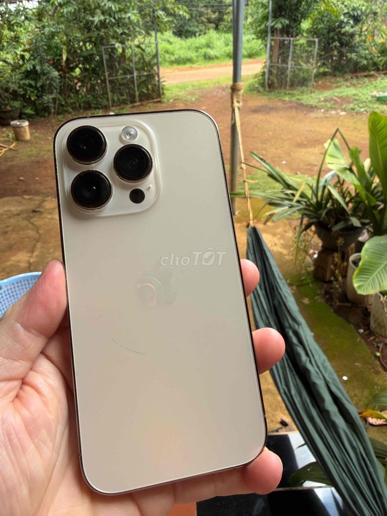 Apple iPhone 14 Pro 128GB Vàng 87%. Mua bán Điện thoại tại Huyện Đắk R'Lấp Đắk Nông được đăng bởi ĐỨC LINH  hình 1