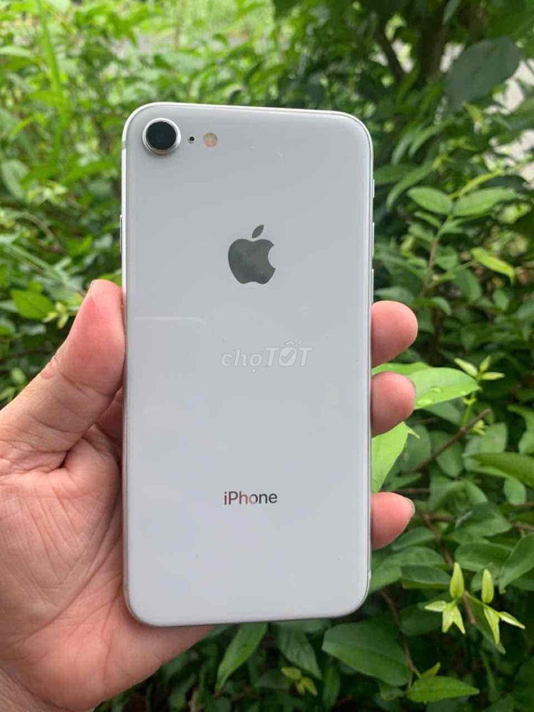 iPhone 8 64GB ZIN. Mua bán Điện thoại tại Thành phố Cà Mau Cà Mau được đăng bởi Nguyễn An hình 1