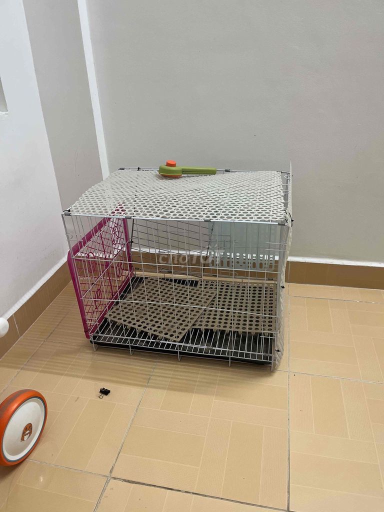 chuồng lớn nhỏ cho mèo. Mua bán Phụ kiện, Thức ăn, Dịch vụ tại Quận Cái Răng Cần Thơ được đăng bởi Vương hình 2