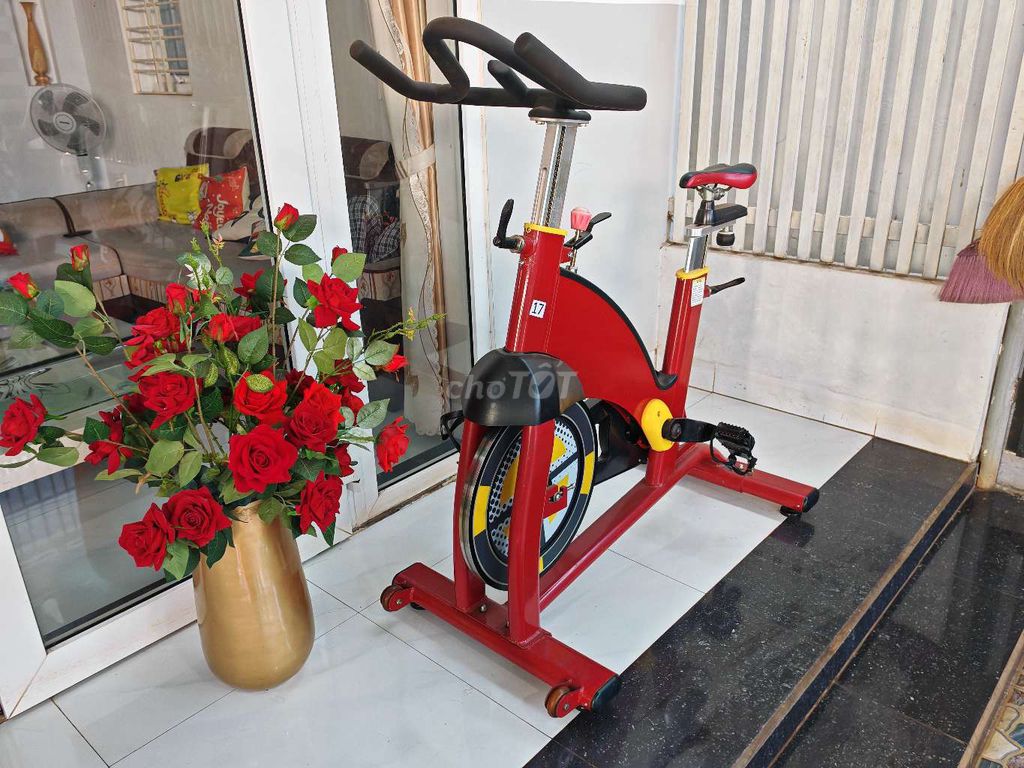 bán xe đạp thể thao trong nhà. Mua bán Đồ thể thao, Dã ngoại tại Thành phố Buôn Ma Thuột Đắk Lắk được đăng bởi manchester hình 1
