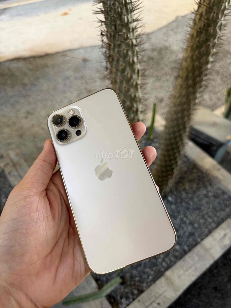 Bán 12Prm Zin 128gb Quốc Tế Pin 93%🚗. Mua bán Điện thoại tại Quận Ninh Kiều Cần Thơ được đăng bởi Tài Nhót hình 1