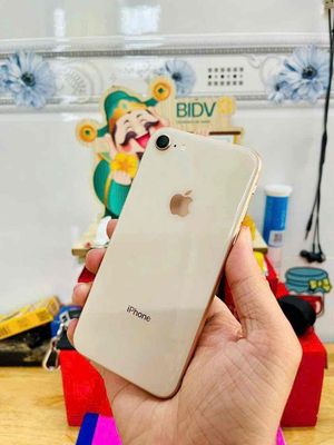 iPhone 8 Quốc Tế 64Gb. Mua bán Điện thoại tại Thành phố Long Xuyên An Giang được đăng bởi Khưu Nguyễn Phi Hùng