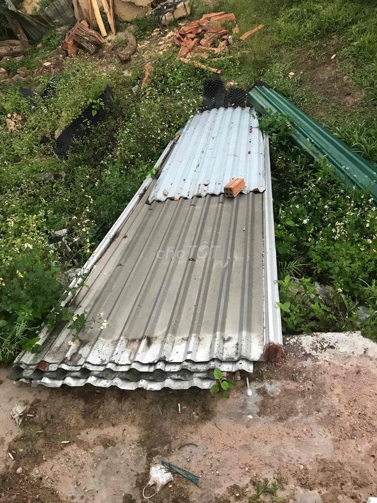 Tôn lợp kim loại 5m. Mua bán Đồ chuyên dụng, Giống nuôi trồng tại Thị xã Hương Trà Thừa Thiên Huế được đăng bởi Phụng trần hình 1