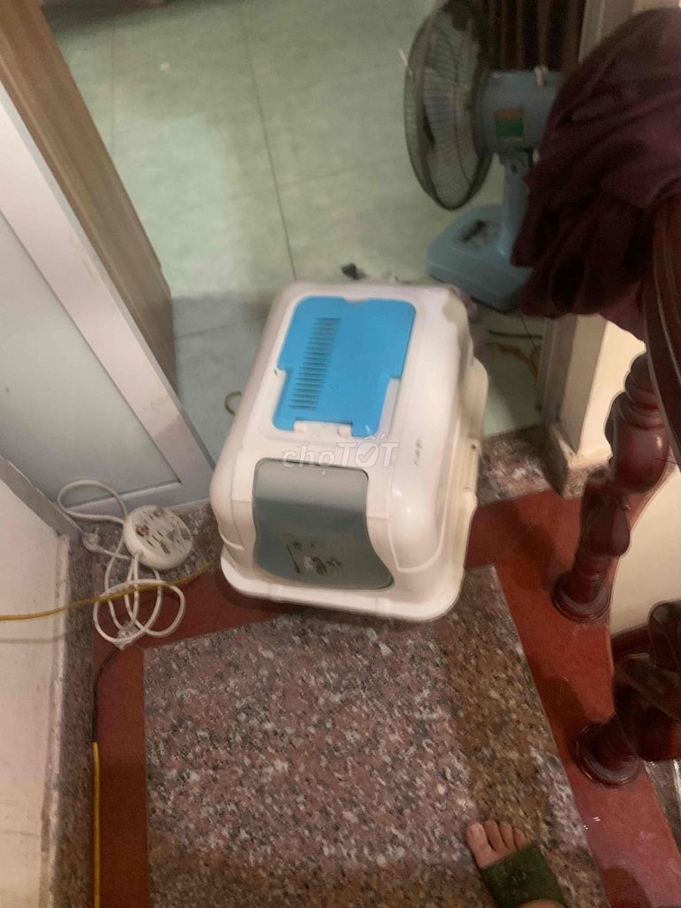 Nhà vệ sinh cho mèo nhựa Trắng, Xanh. Mua bán Phụ kiện, Thức ăn, Dịch vụ tại Quận Lê Chân Hải Phòng được đăng bởi Tuyết hình 1
