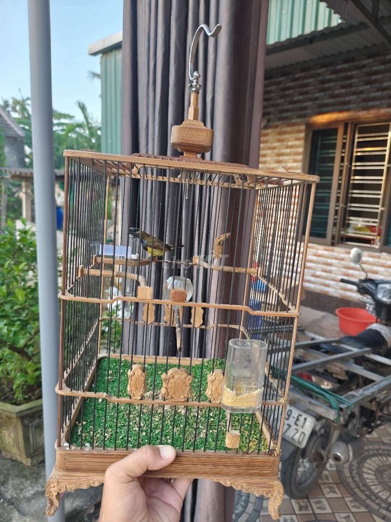 Cần bán 2 bộ hút mật.. Mua bán Chim tại Huyện Trực Ninh Nam Định được đăng bởi Nội Thất Phạm Tổng hình 4