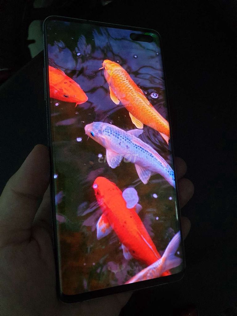 Samsung S10 5G bản 512gb cày phim mùa hè. Mua bán Điện thoại tại Quận Gò Vấp Tp Hồ Chí Minh được đăng bởi Điện thoại SAMPHONE hình 1