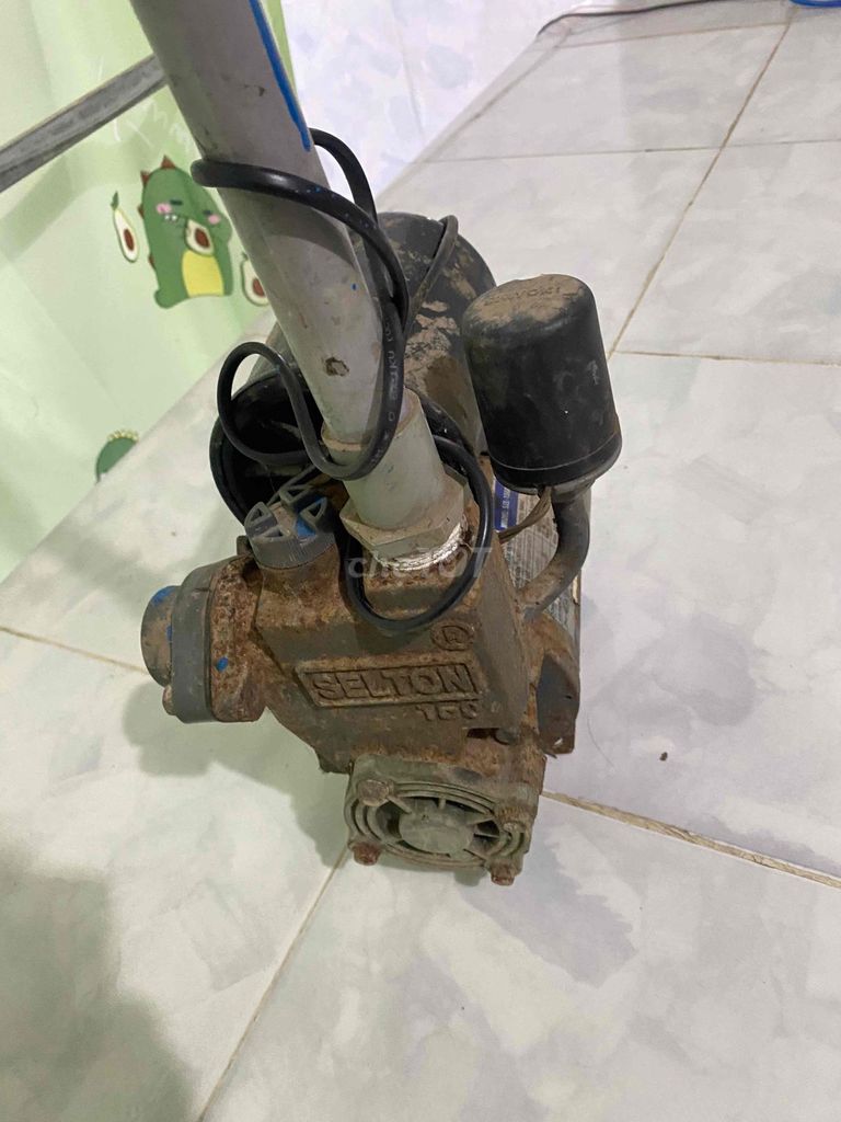 Máy bơm tăng áp SELTON SEL-150AE Đen. Mua bán Đồ chuyên dụng, Giống nuôi trồng tại Huyện Châu Thành Bến Tre được đăng bởi Duong  hình 1
