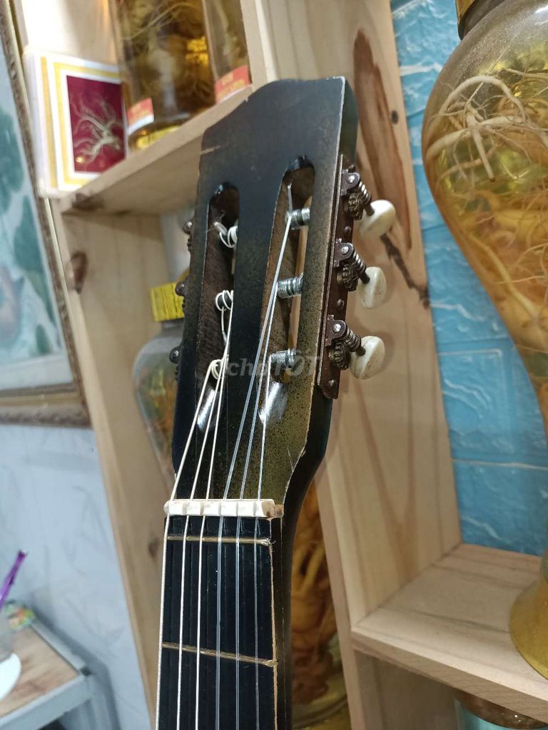 Đàn Guitar Classic ECHO C350 make in Japan