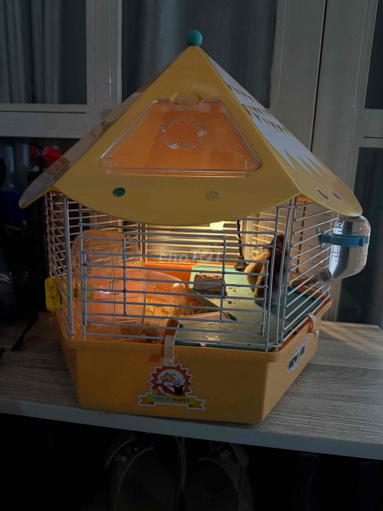 Chuột Hamster đực 2 tháng tuổi. Mua bán Thú cưng khác tại Quận 8 Tp Hồ Chí Minh được đăng bởi Hạnh Nguyễn hình 1