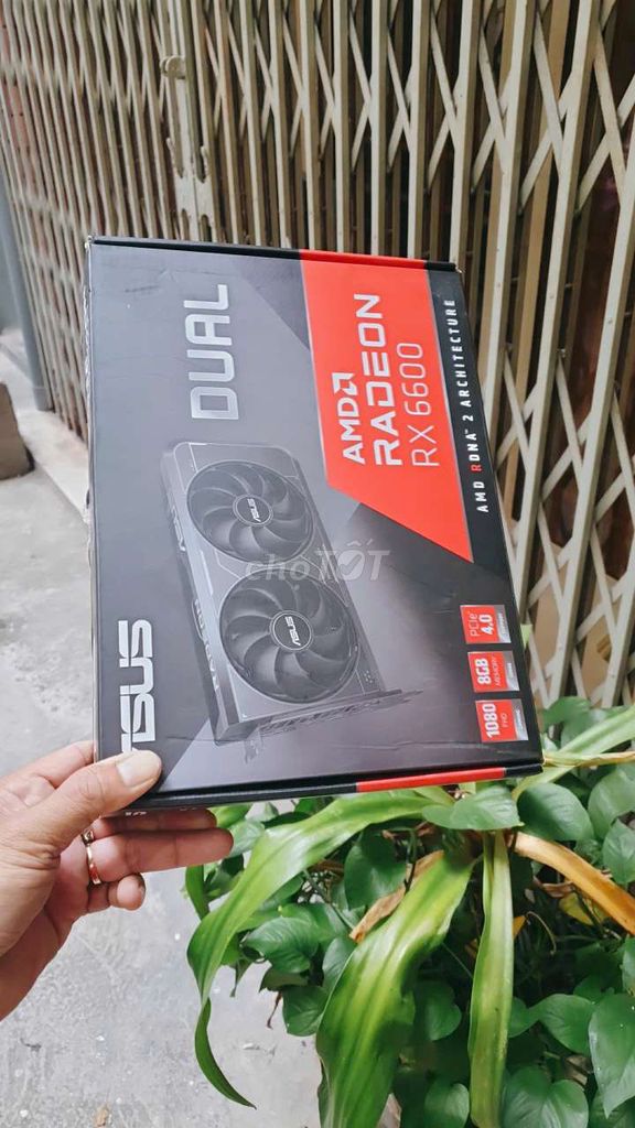 Asus RX6600 8GB D6 v3 lướt new