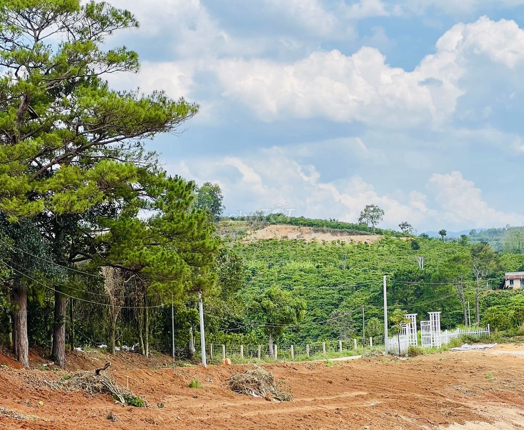 Cần bán  lô đất xã Nam Hà cách đường nhựa chỉ 20m giá 430 triệu
