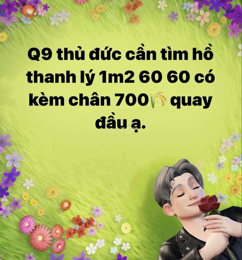 Cần tìm hồ + chân 1m2 60 60
