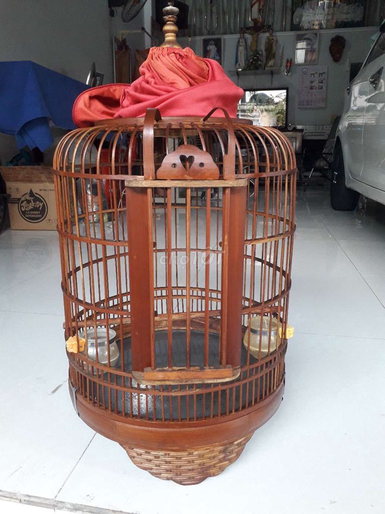 chin hết cong lồng thổ. Mua bán Chim tại Quận 12 Tp Hồ Chí Minh được đăng bởi hoa my khiếu hình 1