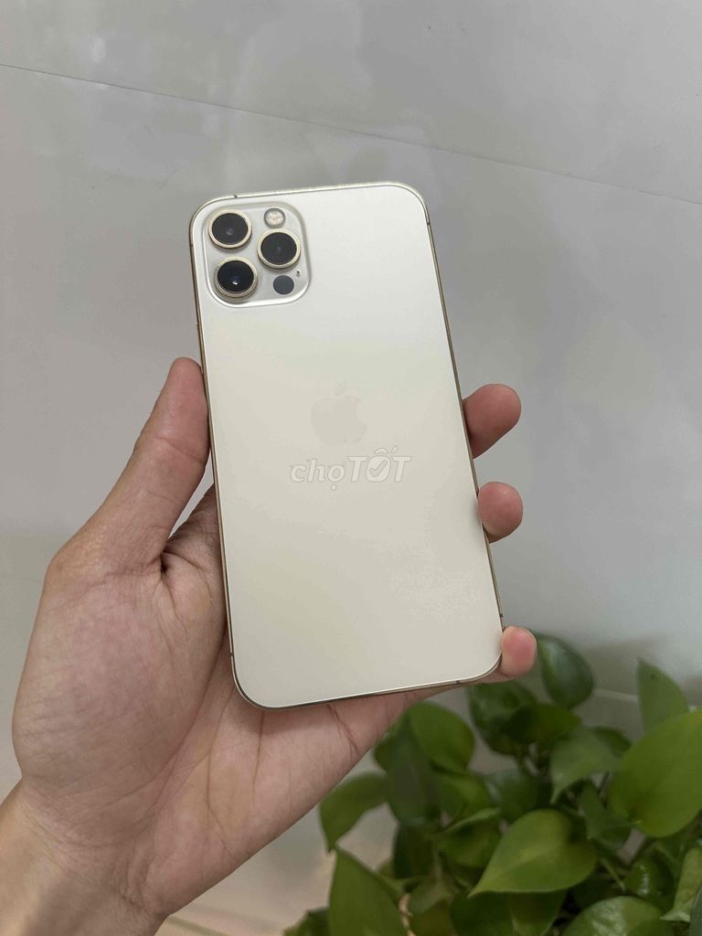 Cần bán Apple iPhone 12 Pro 128GB Vàng giá rẻ. Mua bán Điện thoại tại Thành phố Qui Nhơn Bình Định được đăng bởi Gia Long hình 1