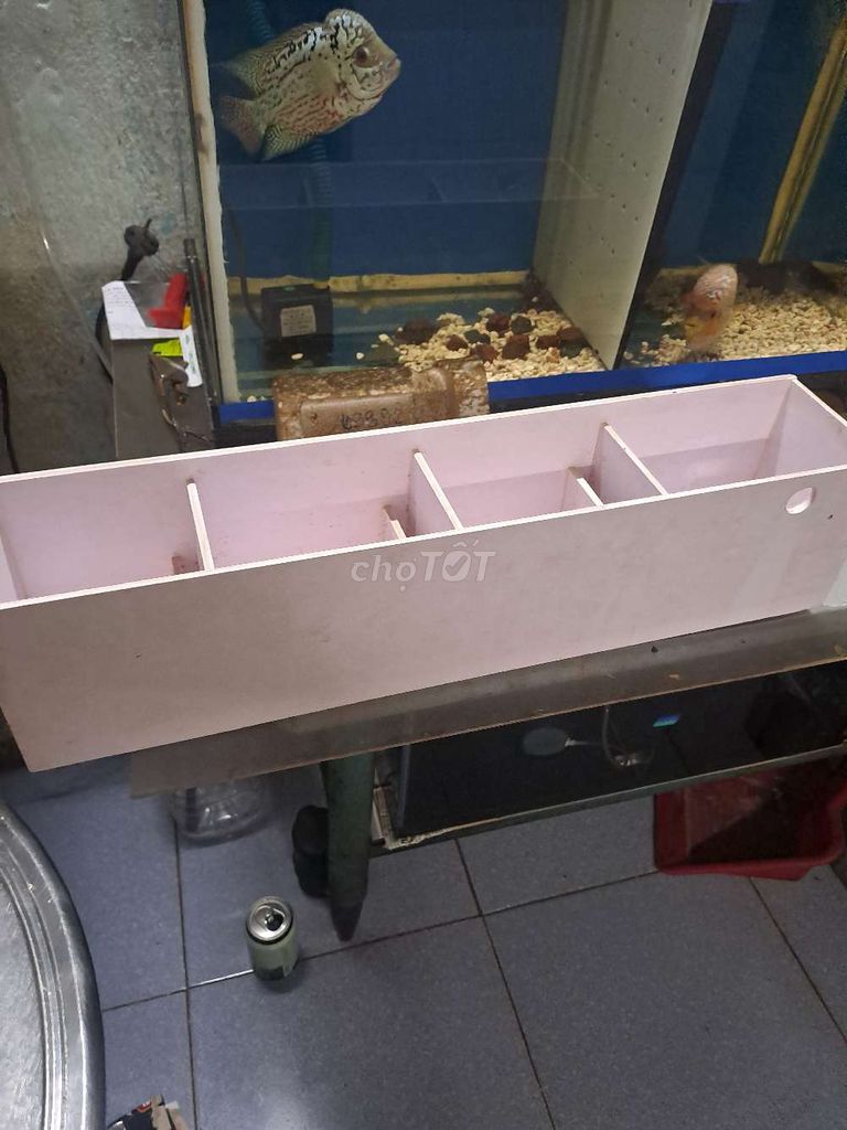 Lọc tràn hồ cá 50cm. Mua bán Phụ kiện, Thức ăn, Dịch vụ tại Quận Bình Tân Tp Hồ Chí Minh được đăng bởi Hung Buivinhhung hình 1