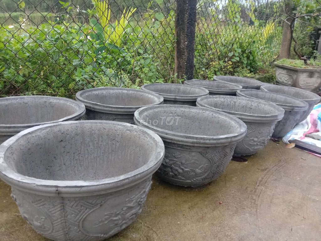 Chậu cây cảnh xi măng xám 50x30cm. Mua bán Cây cảnh, đồ trang trí tại Huyện Phú Vang Thừa Thiên Huế được đăng bởi Toan Ngo hình 1