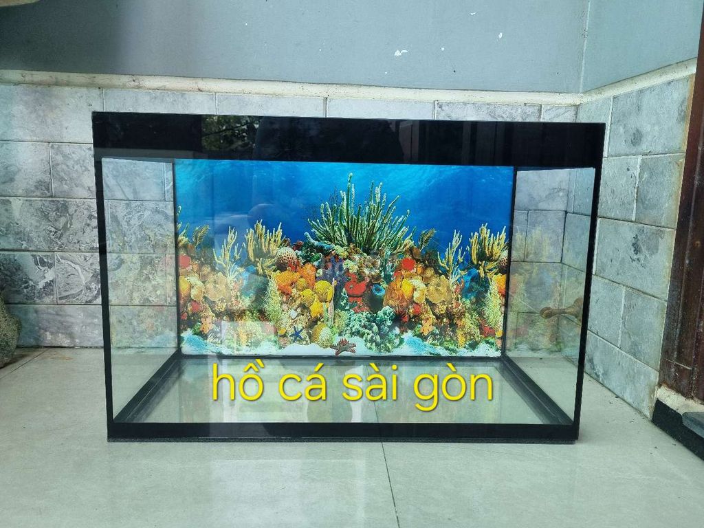 Hồ cá ,bể kính 50cm đến 120cm