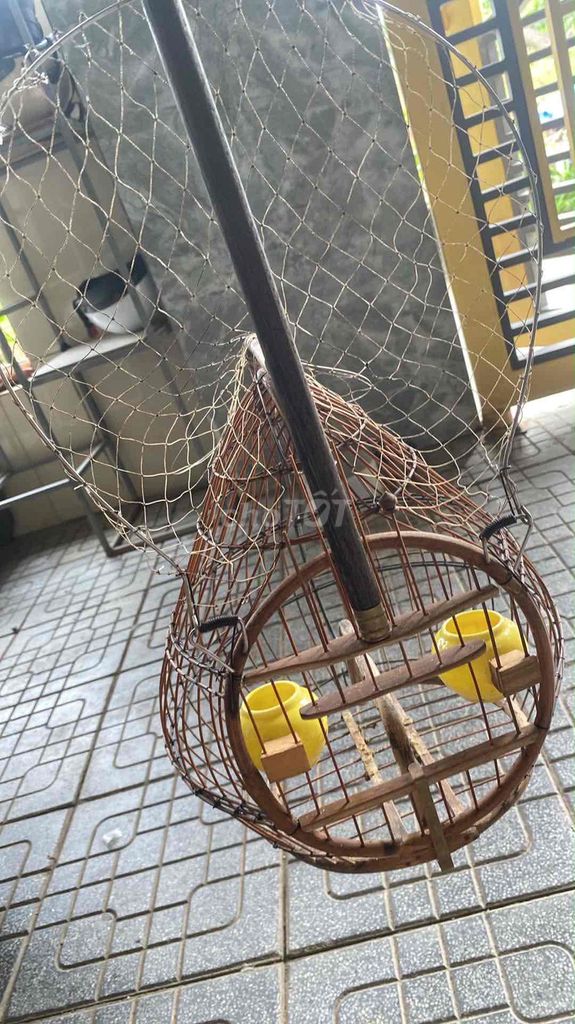 Lụp bẫy chim chào mào tre lưới chắc chắn. Mua bán Phụ kiện, Thức ăn, Dịch vụ tại Huyện Phú Vang Thừa Thiên Huế được đăng bởi Thắng hình 1