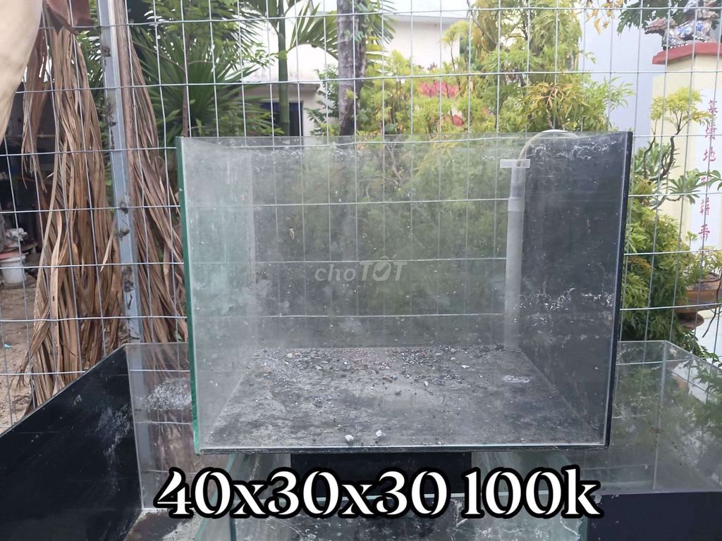 Hồ 433 523 644 643 , bơm lọc sủi v.v...... Mua bán Phụ kiện, Thức ăn, Dịch vụ tại Quận Thanh Khê Đà Nẵng được đăng bởi duy hình 1