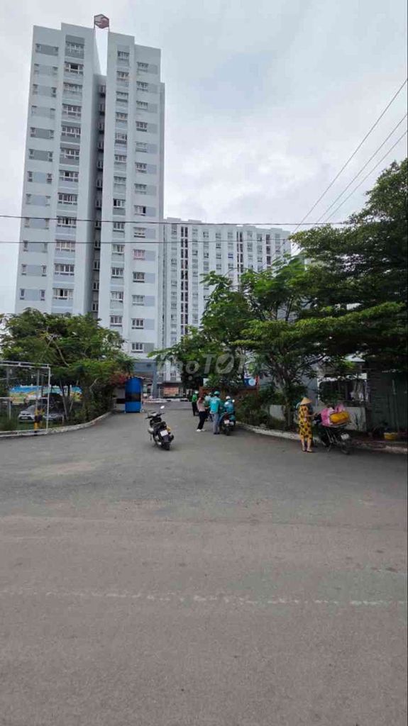 căn hộ chung cư