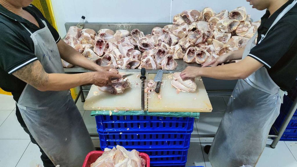 TUYỂN 5 LĐPT VA GIAO HÀNG CA NGÀY VÀ ĐÊM. Việc làm tại Huyện Hóc Môn Tp Hồ Chí Minh được đăng bởi Công Ty TNHH Hải Nhỏ Food hình 2