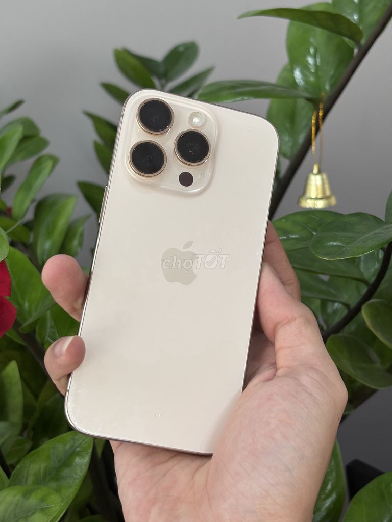 iPhone 16 Pro 128GB Vàng Sa Mạc. Mua bán Điện thoại tại Quận Thanh Khê Đà Nẵng được đăng bởi Thuận Nguyễn hình 1