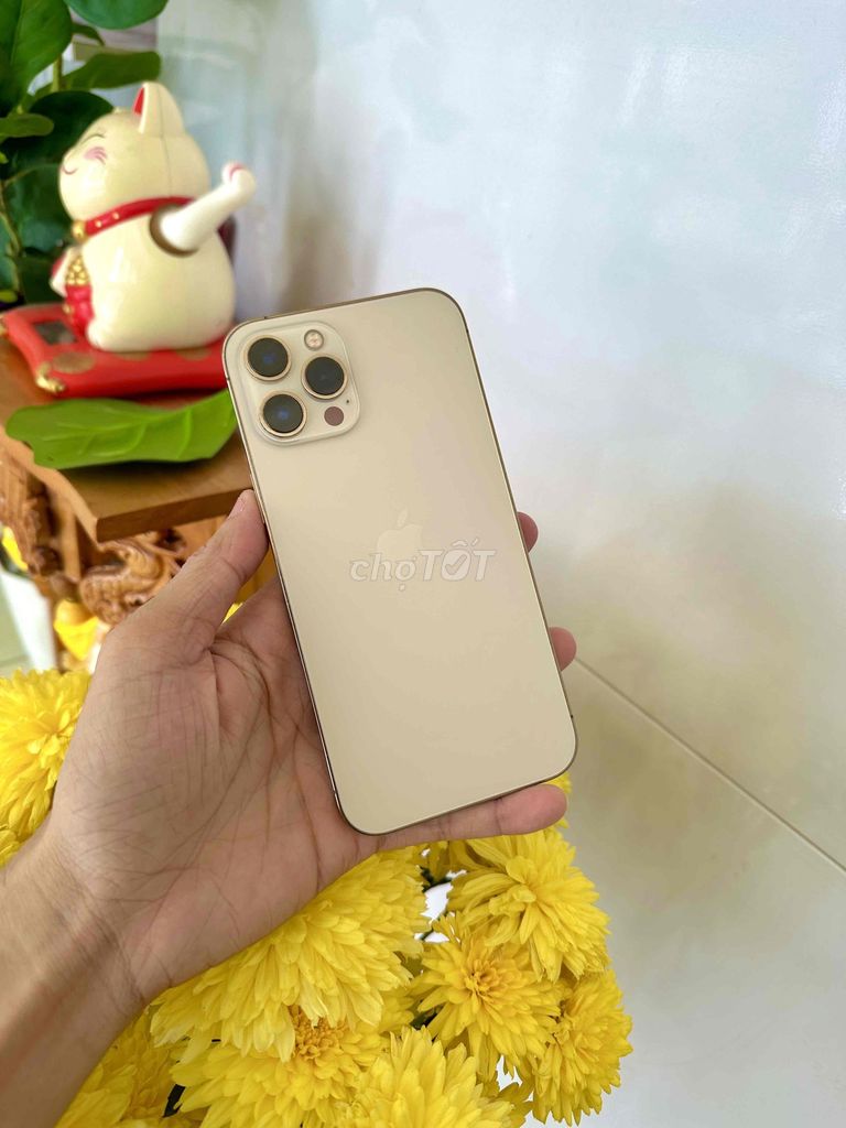 Apple iPhone 12 Pro Max  VN/A ios 16 đồ cổ. Mua bán Điện thoại tại Thành phố Long Xuyên An Giang được đăng bởi phong LX  hình 1