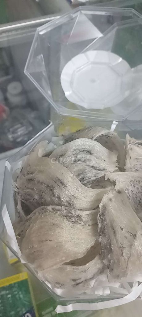 Tổ yến Yến sào thô 100gr. Mua bán Đồ ăn, thực phẩm và các loại khác tại Huyện Thạnh Hóa Long An được đăng bởi Dương thị cẩm mộng hình 1