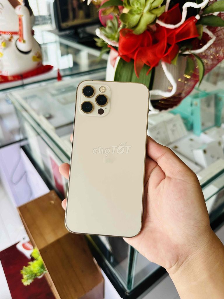 iPhone 12 Pro 128G Vàng Gold Quốc tế. Mua bán Điện thoại tại Thị xã Phú Mỹ Bà Rịa - Vũng Tàu được đăng bởi BI TÁO PHƯỚC LẬP hình 1