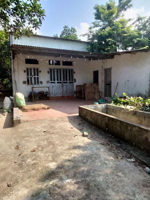 cho thuê làm trang trại, kho xưởng