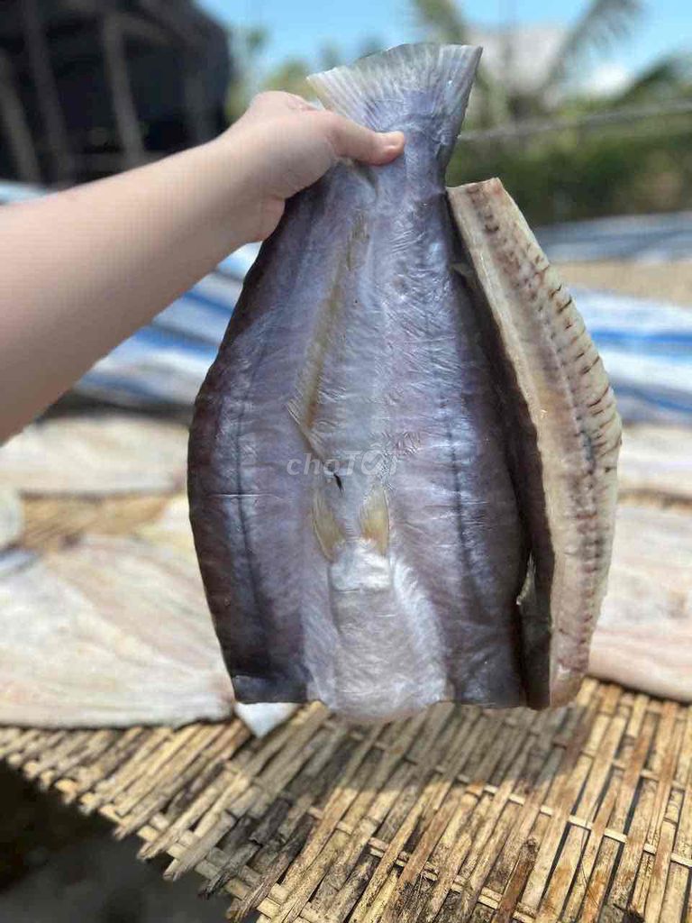 Khô Cá Dứa