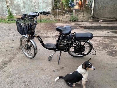 Xe đạp điện màu Đen, Bạc. Mua bán Xe điện tại Huyện Mỏ Cày Nam Bến Tre được đăng bởi PHÁT