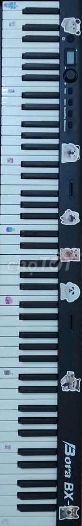 Đàn piano điện Bora BX-1 88 phím Đen. Mua bán Nhạc cụ tại Quận Dương Kinh Hải Phòng được đăng bởi Thành Heyyo hình 1