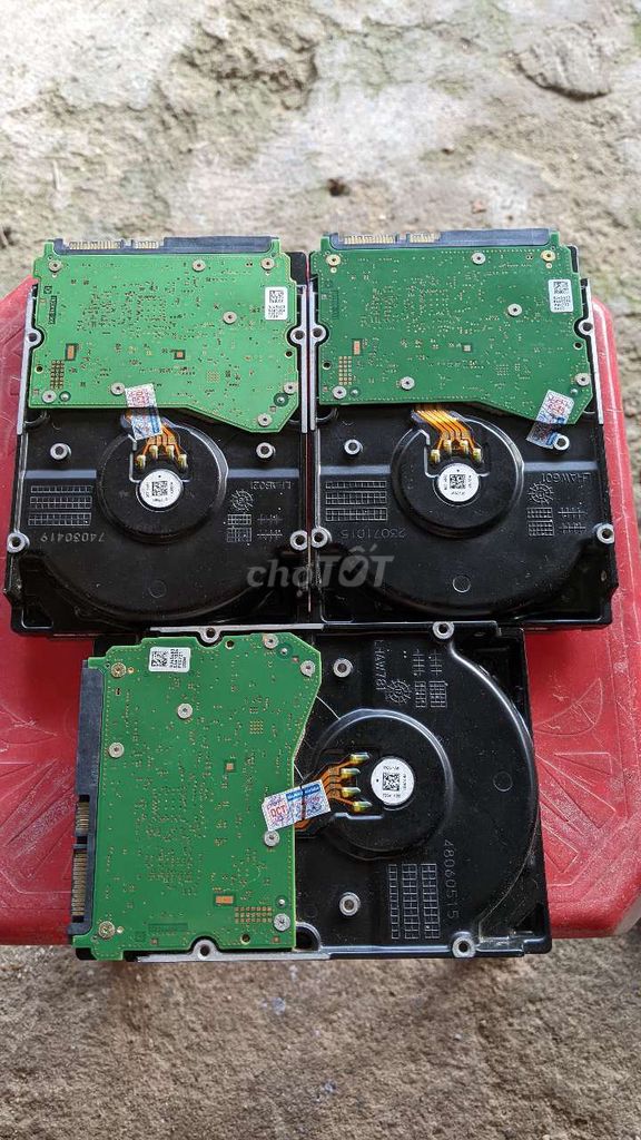 HDD WD 8TB