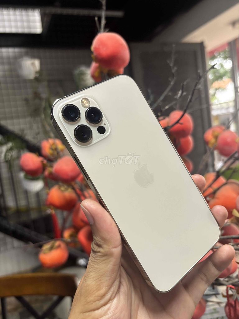 iPhone 12 Pro 128GB Vàng 99% pin 100%. Mua bán Điện thoại tại Thành phố Buôn Ma Thuột Đắk Lắk được đăng bởi Hoàng Vũ hình 1