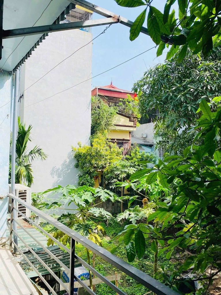 Bỏ Phố về quê