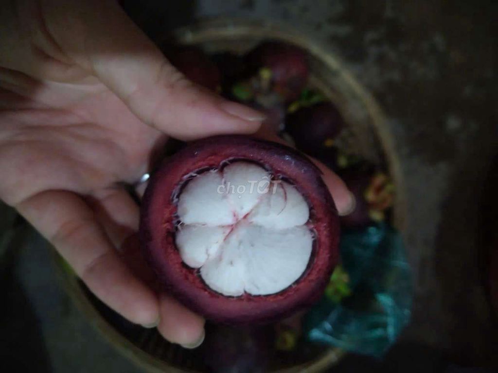 Măng cụt vỏ mỏng, thịt ngọt. Mua bán Đồ ăn, thực phẩm và các loại khác tại Quận Cái Răng Cần Thơ được đăng bởi NAS Shop hình 1